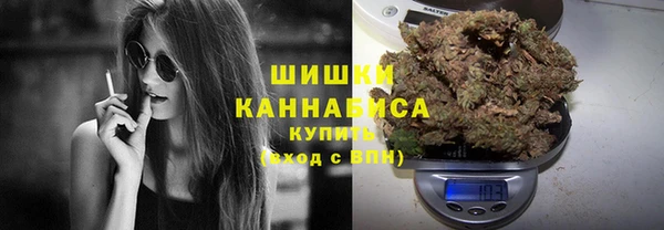 сатива Навашино