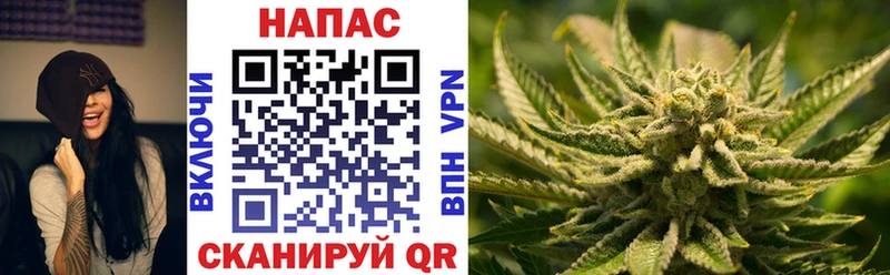 купить наркотики цена  Сольцы  Каннабис AK-47 